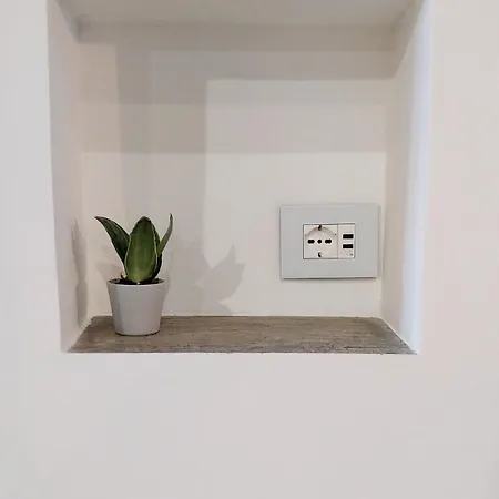Loft Centro